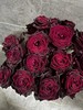红色单头玫瑰20枝 商品缩略图3