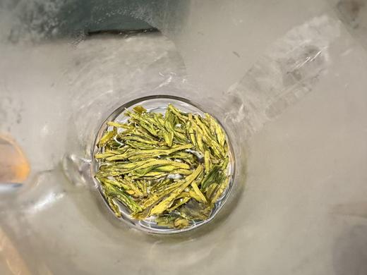 2026年春  梅家坞老龙井 手工茶 （老茶蓬/群体种/土茶）125克纸包 商品图5