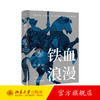 铁血浪漫：中世纪骑士 倪世光 著 未名·轻松阅读外国史丛书 北京大学出版社 商品缩略图1