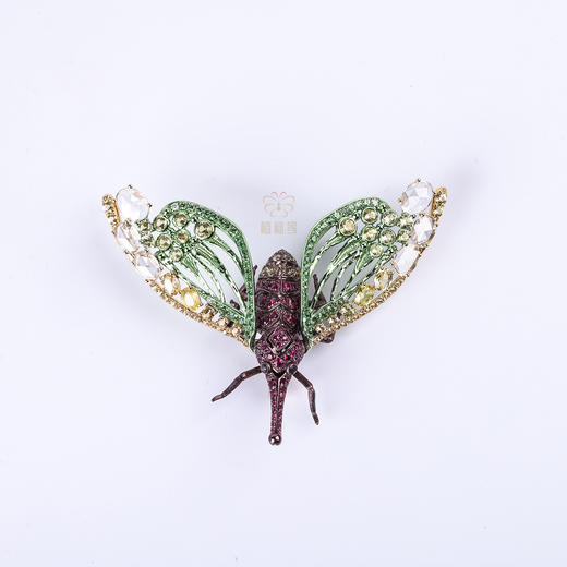 【夏日精灵】红宝石龙眼鸡胸针 商品图1