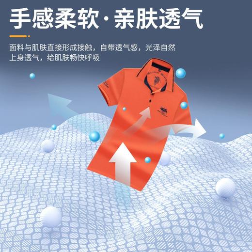 派森龙夏季纯棉翻领刺绣男220g粗珠男士POLO衫 商品图1