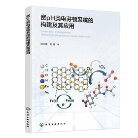 宽PH类电芬顿系统的构建及其应用