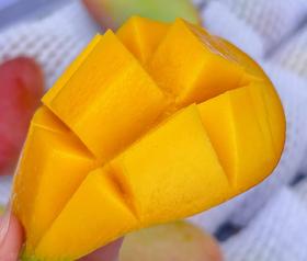 海南空运贵妃芒果  树上熟芒果  家庭装5斤