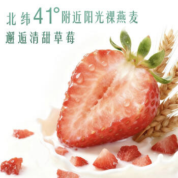 伊利畅轻低温酸奶 0添加 燕麦草莓酸牛奶250g*4 风味发酵乳  /水饮冲调 /低温奶 /低温酸奶 商品图5