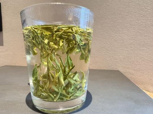 2026春 舜皇山·老龙井  浙江炒茶王制 商品图4