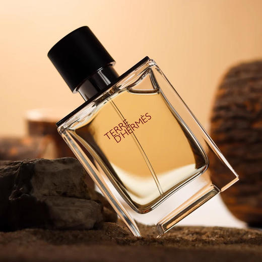【礼盒礼袋】Hermes爱马仕大地香水男士经典木质香调持久淡香水100ML，经典木质香调融合自然气息，带来沉稳优雅的男士魅力。 商品图2
