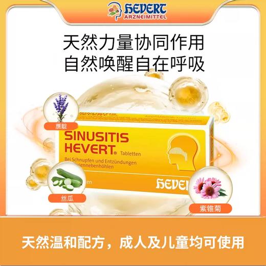 德国Hevert菲德紫锥菊多种草本鼻腔护理40片/盒【德国直邮 下单请提供身份证正反面照片】 商品图1