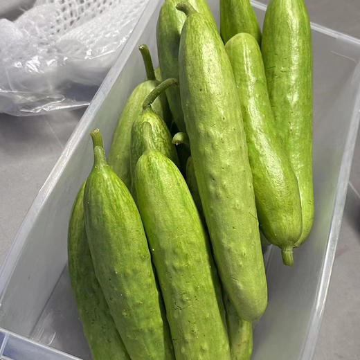 【白玉黄瓜】口感甜鲜嫩脆，黄瓜味浓，表皮青白嫩绿，口感鲜甜，刺少，大小均匀，现摘现发 4.5斤/箱 商品图9