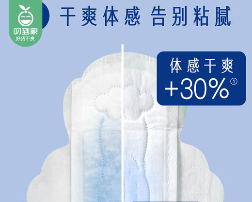 HERLAB她研社深藏BLUE棉柔卫生巾（日用）/2包（每包240mm*8片）赠送同款试用装4片限用日期：29年1月 商品图3