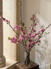 【春季限定】重瓣樱花 粉色  约 3-5 枝/扎 商品缩略图1