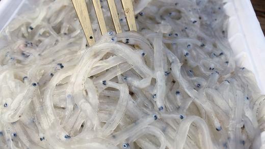 海水小银鱼 肉质细嫩柔软 无硬骨无尖刺  堪称“海中营养小金条” 商品图6