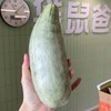 【美味水果丨山东羊角蜜3斤/4.5斤】果形长锥形似羊角，故名羊角蜜，个大饱满，肉质松脆无纤维，皮薄肉厚又多汁，瓜味十足，生鲜瓜果，一经下单发货不支持拦截拒收 商品缩略图2