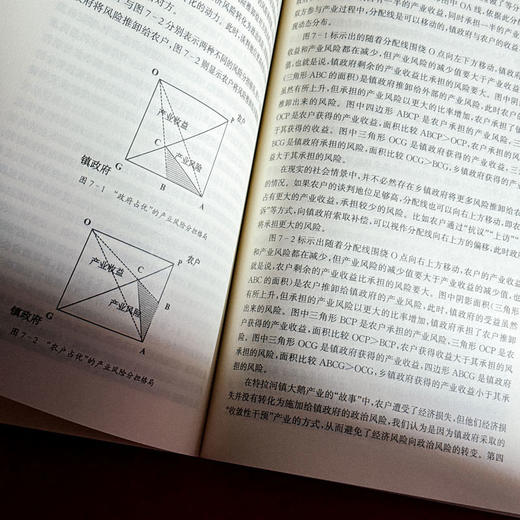 借势而为 基层政府与地方产业 冯猛 四东县 田野调查 商品图10