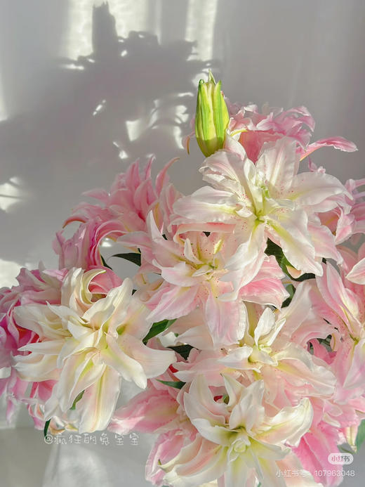 【2026.4.3】特价：4枝2头A级重瓣百合桃之夭25.9（现货 下单即可到店自提） 商品图6