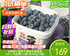 云南高山蓝胖子桶装蓝莓（15+，F6品种）/1箱（约400g*6桶） 商品缩略图0