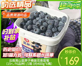 云南高山蓝胖子桶装蓝莓（15+，F6品种）/1箱（约400g*6桶）