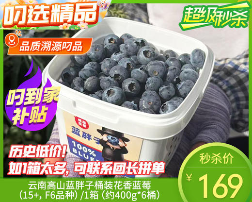 云南高山蓝胖子桶装蓝莓（15+，F6品种）/1箱（约400g*6桶） 商品图0