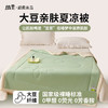 纺王夏被子亲肤透气大豆被四季通用被褥被芯大豆亲肤夏凉被150*200cm /床上用品 /被子 /纤维被 商品缩略图0