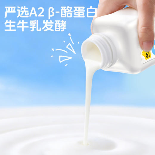 认养一头牛 低温益生菌酸奶（原味/无蔗糖）200g 商品图3