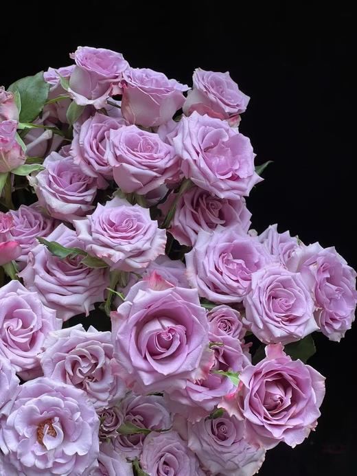 紫色多头玫瑰10枝 商品图4