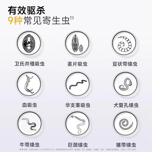 【Ramical雷米高】犬用中大型犬狗狗体内驱虫打虫药体内吡喹酮片(驱虫一粒清）6片 商品图2