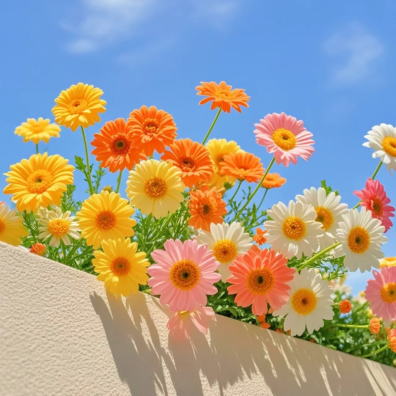 19.9元抢【春日花香福袋】！【每个id限购1件】详细内容请看详情页！