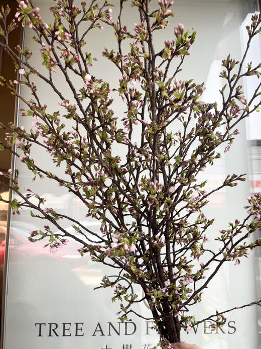 国产花材-【樱花】浅粉色 商品图2