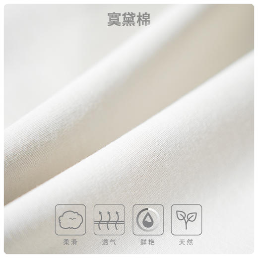 【直发】【特推】圣大保罗莫代尔棉拉架面料,女士,圆领混纺短T,松身版, Ps22KT512W 商品图1