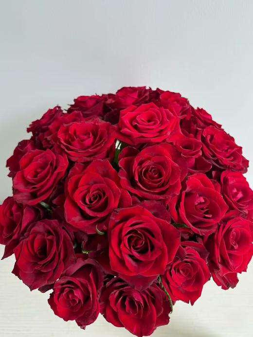 红色单头玫瑰20枝 商品图1