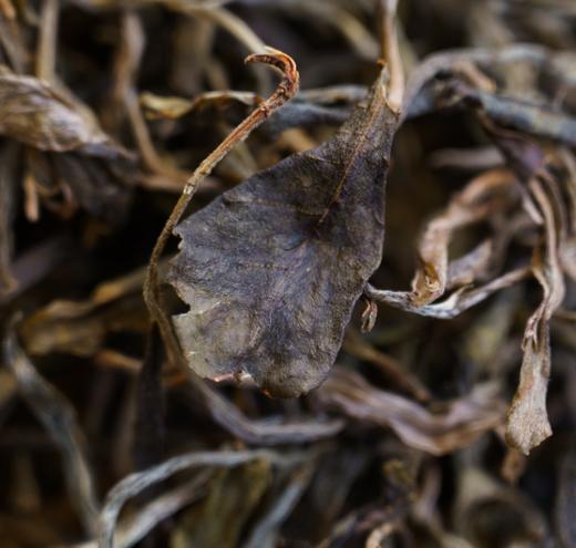 【产地溯源】2026曼松王子山 | 甜润细腻 小叶种混采/醇厚饱满 大叶种混采/古树挑采7g/50g/200g 普洱生茶 商品图2