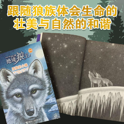 绝境狼王系列 商品图4