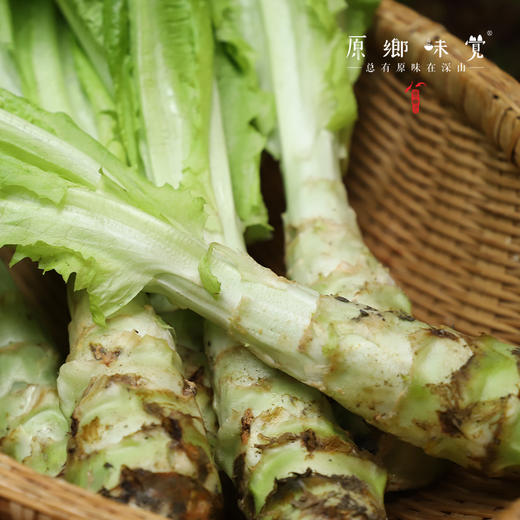生态青皮莴笋（农场直发-顺丰包邮） | 4斤装，成都郫都区基地，【原乡农场，自产自销】 商品图4