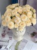 白色多头玫瑰10枝 商品缩略图1
