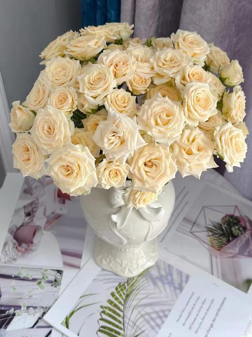 白色多头玫瑰10枝 商品图1