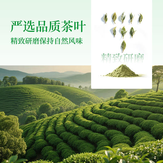 【0糖0卡❗️原叶研磨真茶粉】冷萃即溶，茉莉/乌龙/绿茶/红茶4款可选，还原茶叶纯净本味，喝得到的鲜爽口感，乌龙茶茉莉花茶青提茉莉茶粉固体饮料L 商品图2