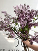 国产花材-【丁香花】紫色 商品缩略图3