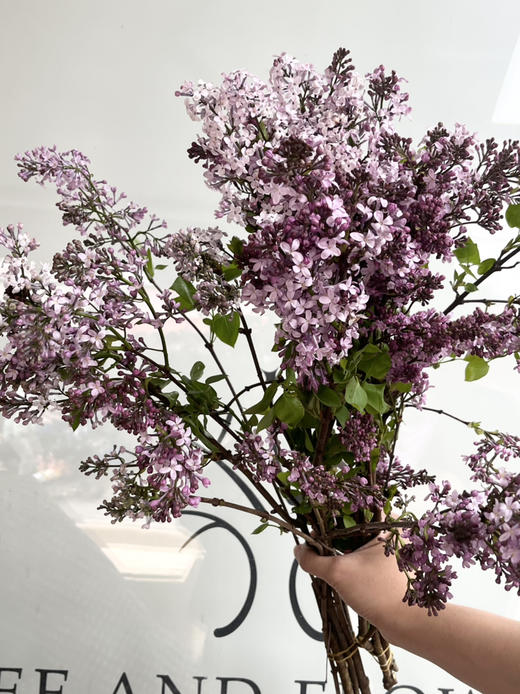 国产花材-【丁香花】紫色 商品图3