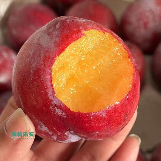 南非🇿🇦～红宝石之星【净重约5斤】：肉甜皮也甜，果酸极低，接近纯甜，味浓，推荐。 商品图1