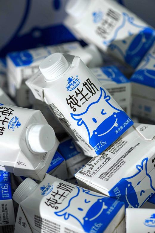 神气水牛纯牛奶 商品图1