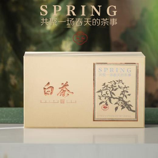 春天的茶事【米•2瓷白茶】33元1套.整箱12套 商品图1