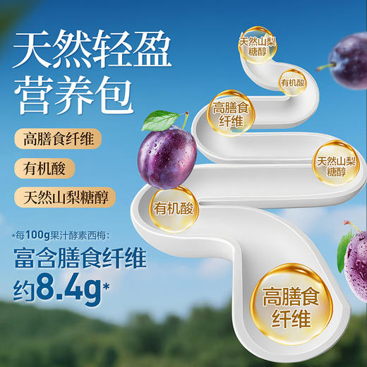 【限时一口价19.9元】果汁酵素西梅420g 商品图2