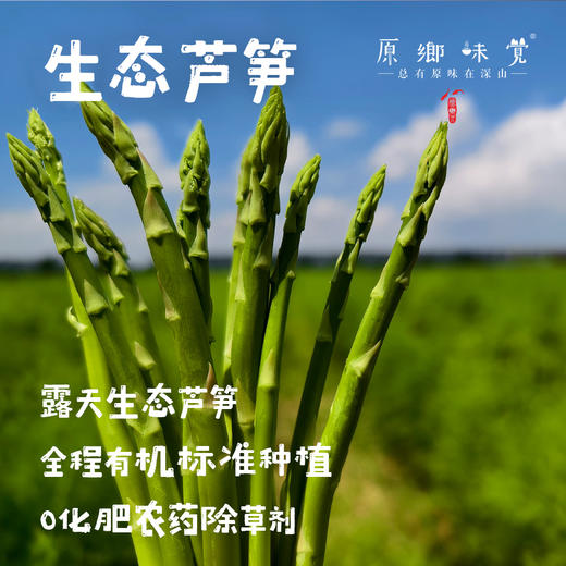 【预售，预计4.6日开始发货】露天生态芦笋（基地直发-顺丰包邮）|1kg/件，来自山东菏泽，生产者：孙喜梅【合作生产，公平贸易】 商品图0