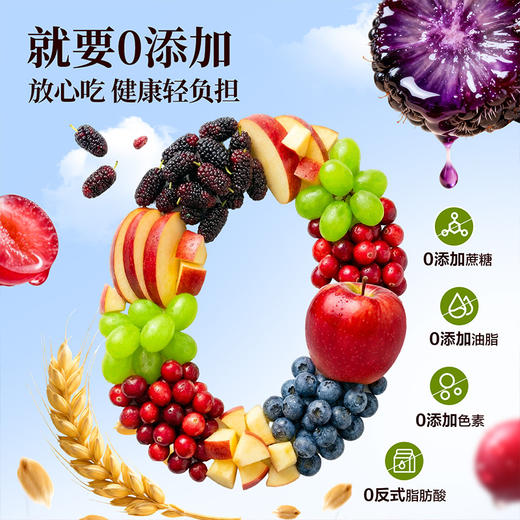 【限时一口价20.9元】蓝莓桑葚全麦面包500g 商品图3