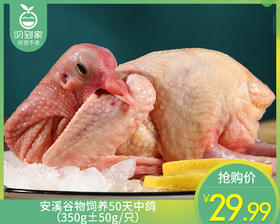 安溪谷物饲养50天中鸽（350g±50g/只）