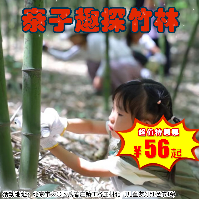 【半日营·4月12日-4月25日】趣探竹林·“竹”够好玩 亲子探秘竹林，识竹、玩竹、食竹，欢乐不停！
