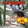 【半日营·4月12日-4月25日】趣探竹林·“竹”够好玩 亲子探秘竹林，识竹、玩竹、食竹，欢乐不停！ 商品缩略图0