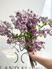 国产花材-【丁香花】紫色 商品缩略图1