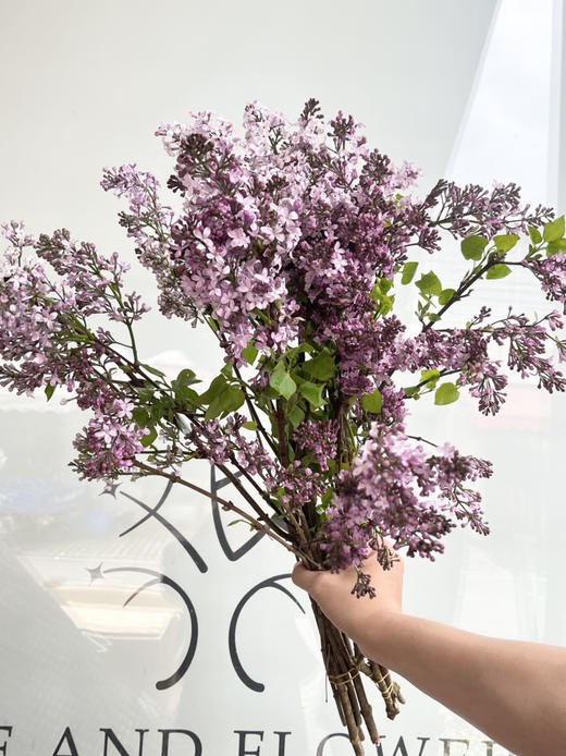 国产花材-【丁香花】紫色 商品图1
