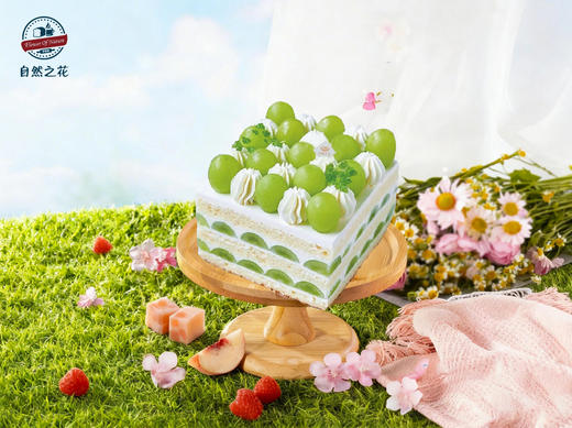 【青玫絮语】健康少糖更好吃，新鲜现做 商品图0