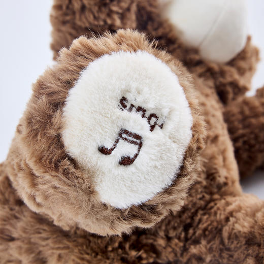 MONSTERSTAR儿童玩具狗狗走路会唱歌仿真泰迪狗毛绒电动会说话的牵绳智能小狗 商品图2